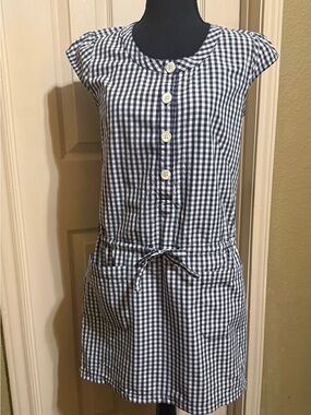 Trending Check J. Crew Factory Navy and White Gingham Tie-Waist Midi Dress